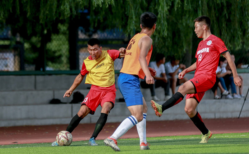 葡超前瞻：本菲卡主场表现平平，葡萄牙体育11场不败