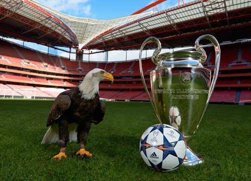 混团世界杯最新战报：王曼昱赢孙颖莎老乡，王楚钦感谢队友，张本智和输球！